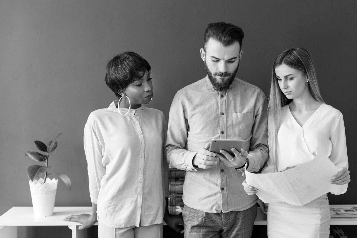 evolvioraelu Team bei der Arbeit